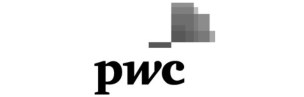 partner 19 logo